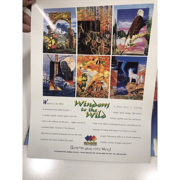 1996 Wild Animals Folder And 6 Posters USA Fox Owl Wolves Windows To The Wild - Picture 3 of 9